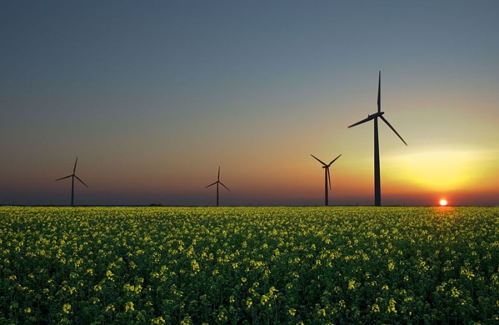 Wind energy pays it forward